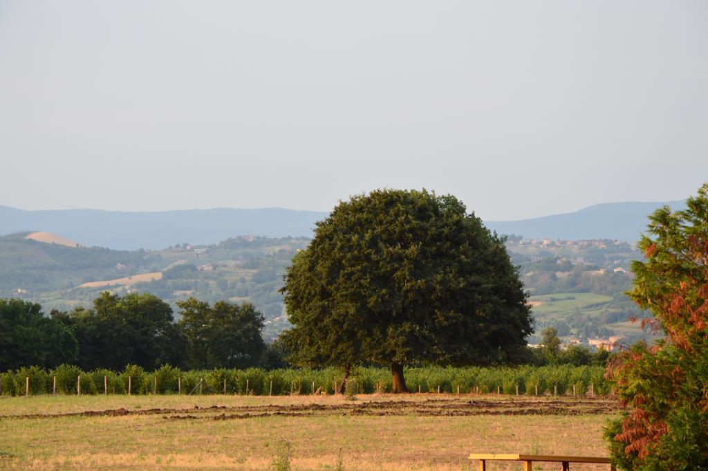 Villa Fattoria Lucciano à Borghetto  Chambre photo