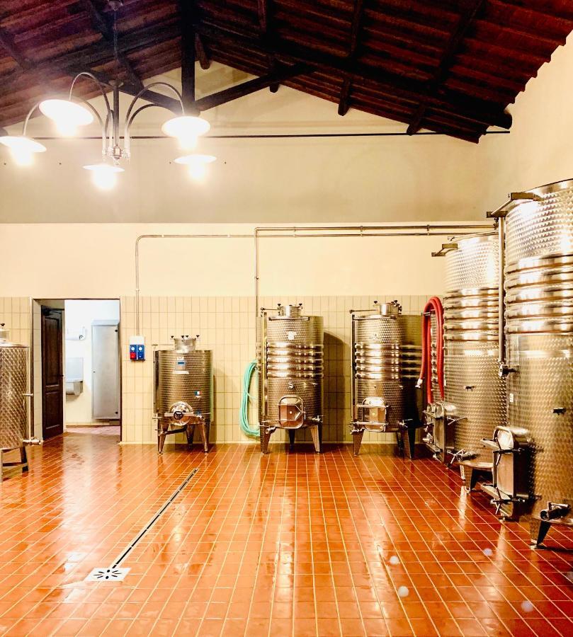 Villa Fattoria Lucciano à Borghetto  Extérieur photo